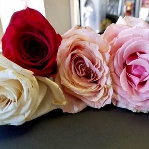 Meet your Posher, Karren